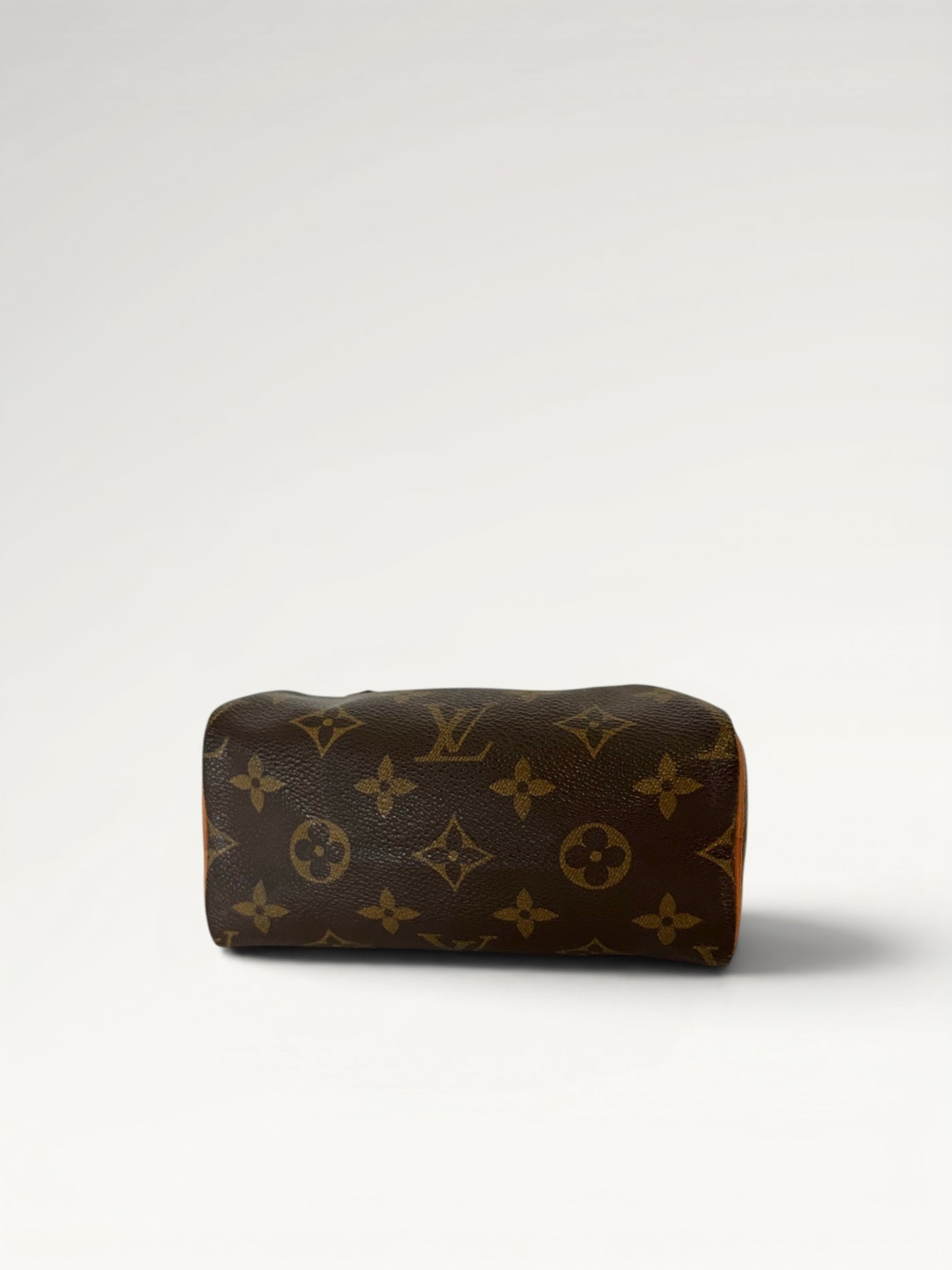 161 - Louis Vuitton Speedy mini
